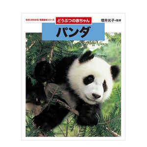 免费起名字