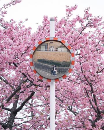 龙宝宝起名