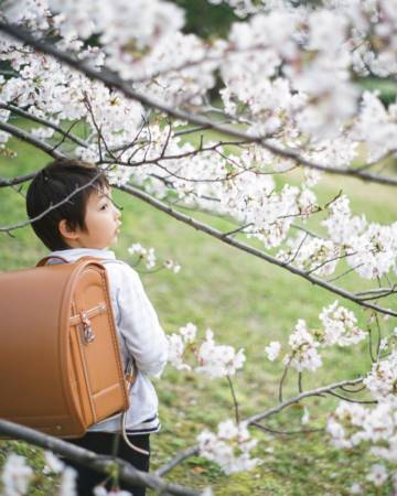 男孩取名