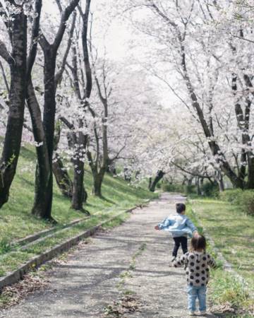 男孩起名