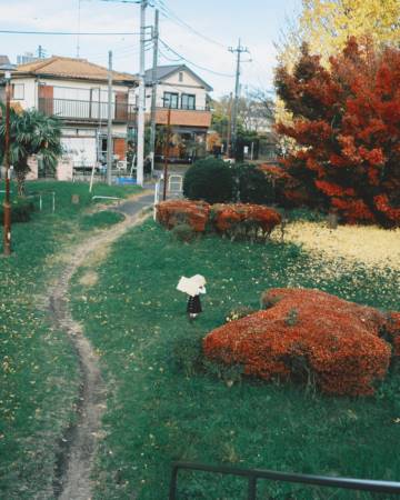 男孩起名