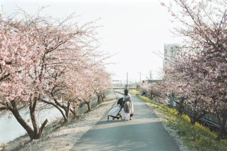 男孩子起名