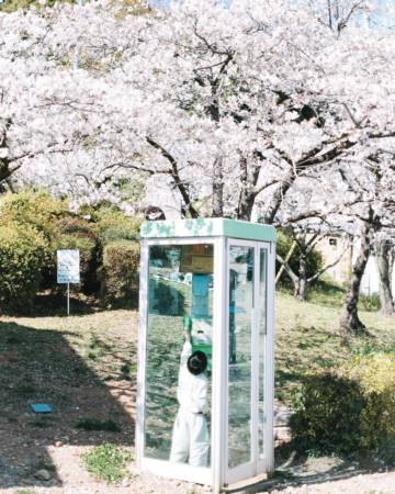 男宝宝起名字
