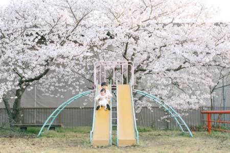 女孩起名