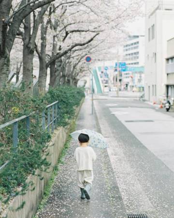 龙宝宝取名