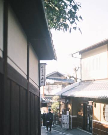 龙年起名