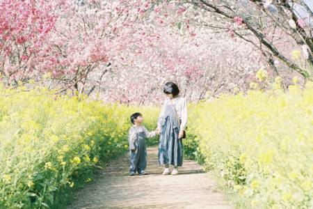 男孩取名