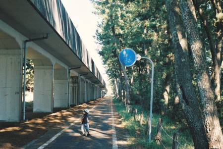 属龙取名