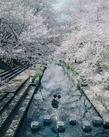2024宝宝起名