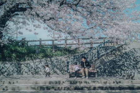 女孩起名