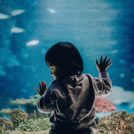男孩名