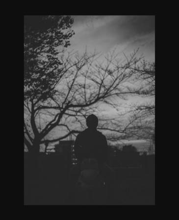 龙宝宝起名