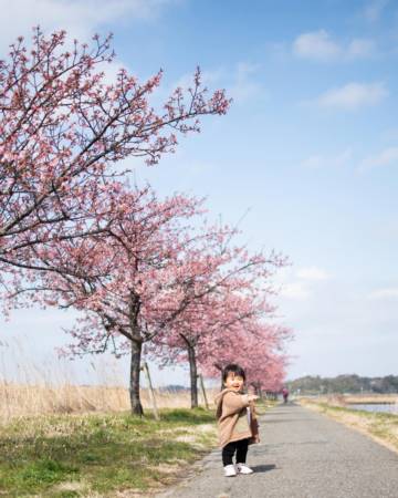龙宝宝取名