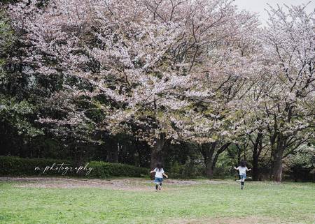 男孩起名